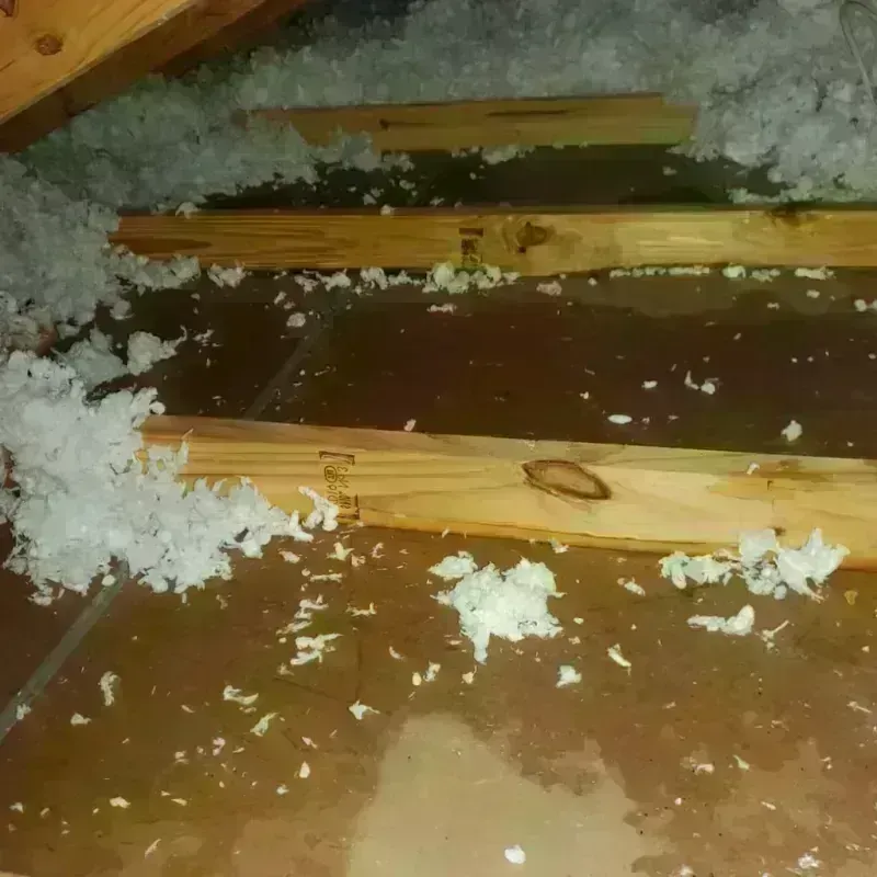 Attic Water Damage in Sabine Parish, LA