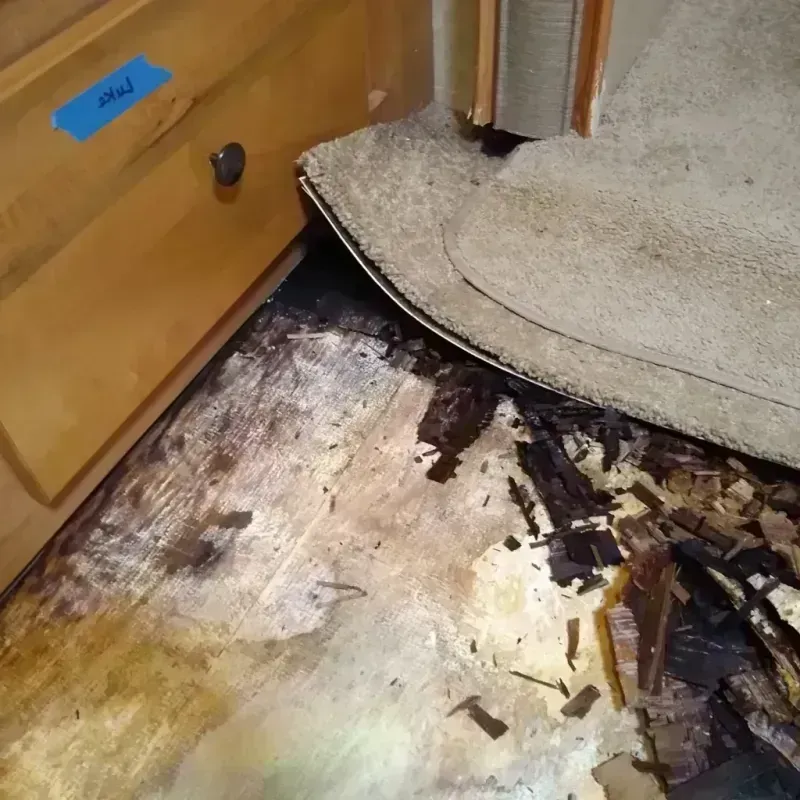 Best Wood Floor Water Damage Service in Sabine Parish, LA